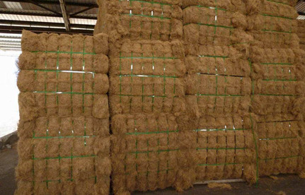 广州清关：印度椰壳纤维进口清关解决方案